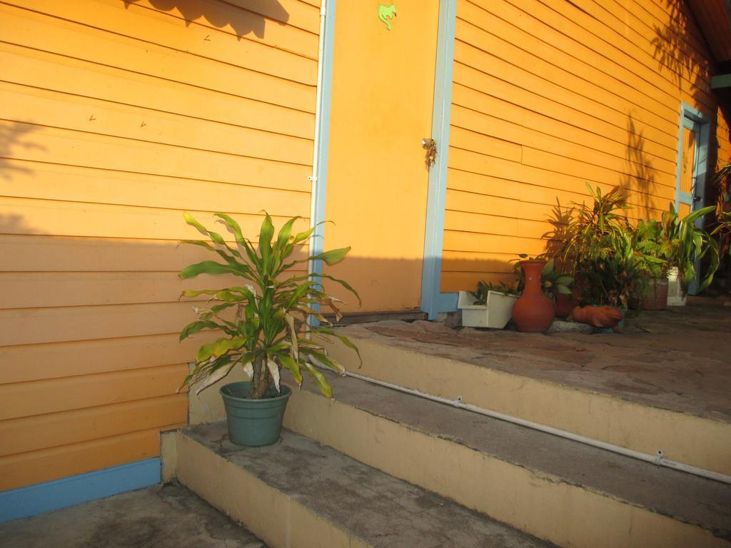 Hotel Flemming Tree Providencia Island Exterior foto