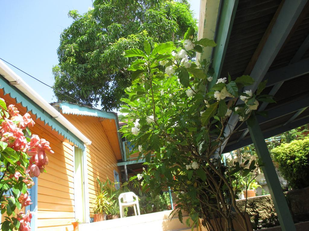 Hotel Flemming Tree Providencia Island Exterior foto