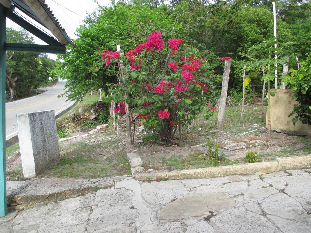 Hotel Flemming Tree Providencia Island Exterior foto